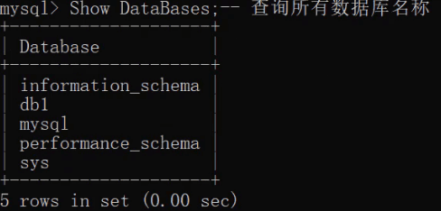 assets/image-20210721215517293.png