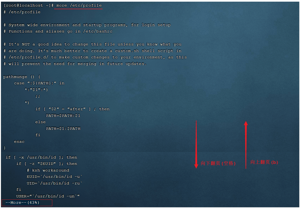assets/image-20210810232212430.png
